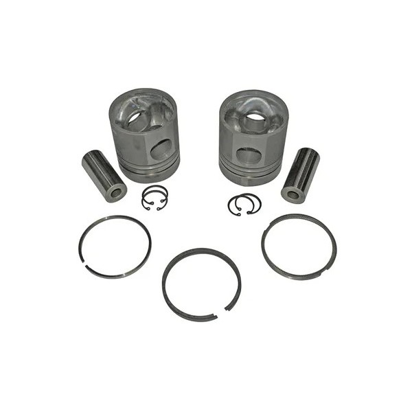 050 Mahle/Metal Leve PA1195050