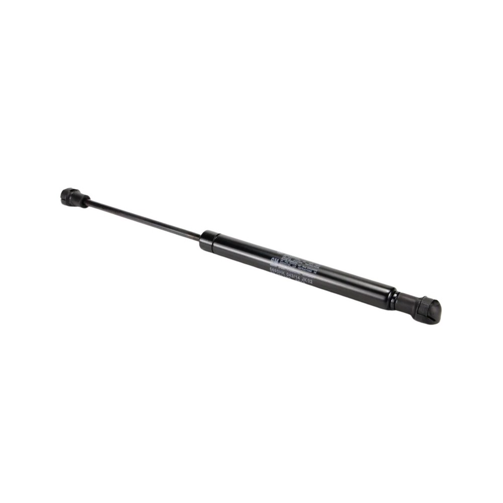Amortecedor de Porta-malas General Motors 90463253
