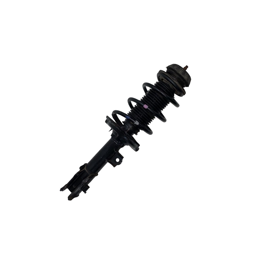 Amortecedor dianteiro lado esquerdo Hyundai 546501S001