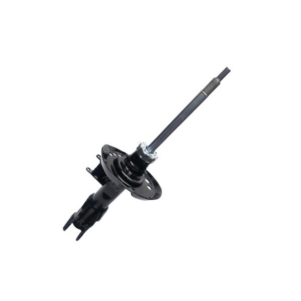 Amortecedor dianteiro lado esquerdo Nakata HG41380