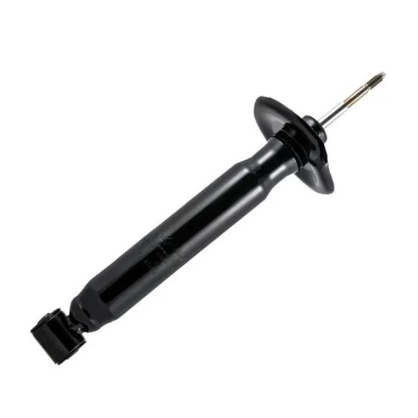 Amortecedor traseiro Cofap BL1053