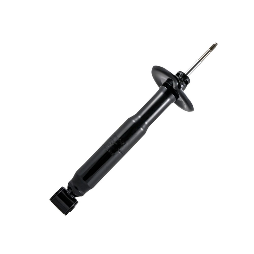 Amortecedor traseiro Cofap BL1169
