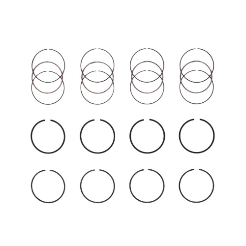 Anéis de Pistão (0.50) Takao ASFO20G050