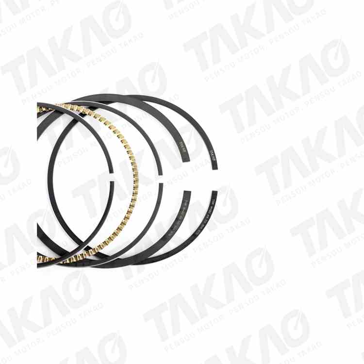 Anéis de Pistão (0.50) Takao ASFO30A050
