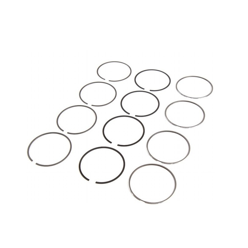 Anéis de Pistão Mahle/Metal Leve PL934100STD