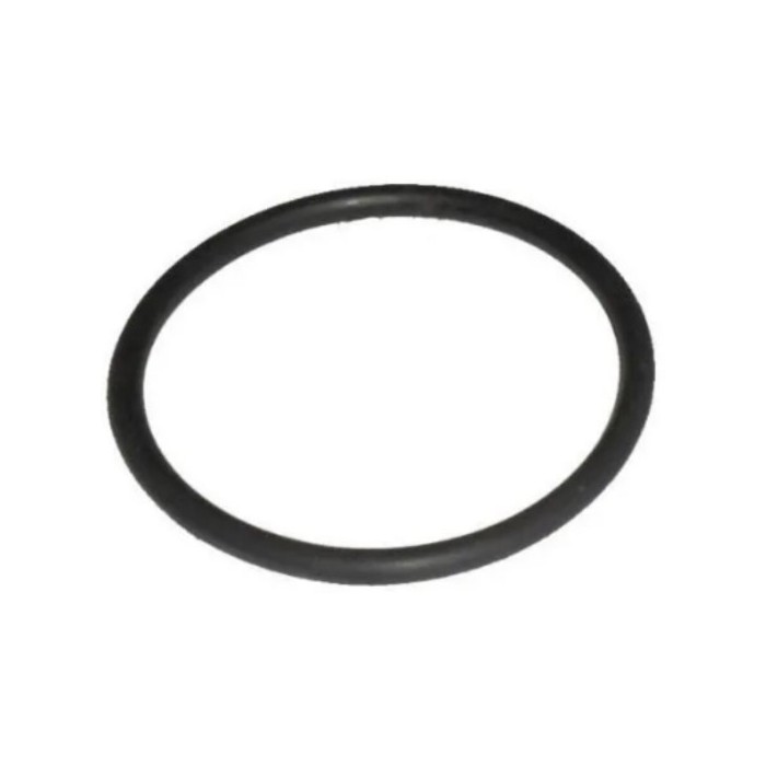 Anel da Carcaça da Válvula Termostática Volkswagen 026121119