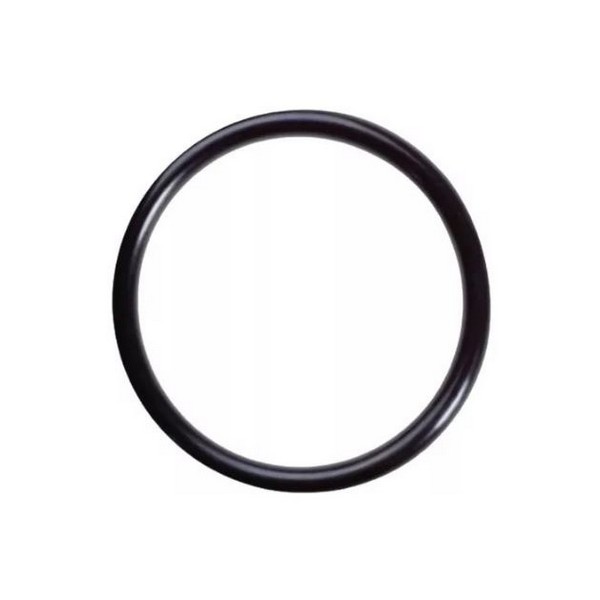 Anel de Vedação do Bico Injetor Importado RYL0481