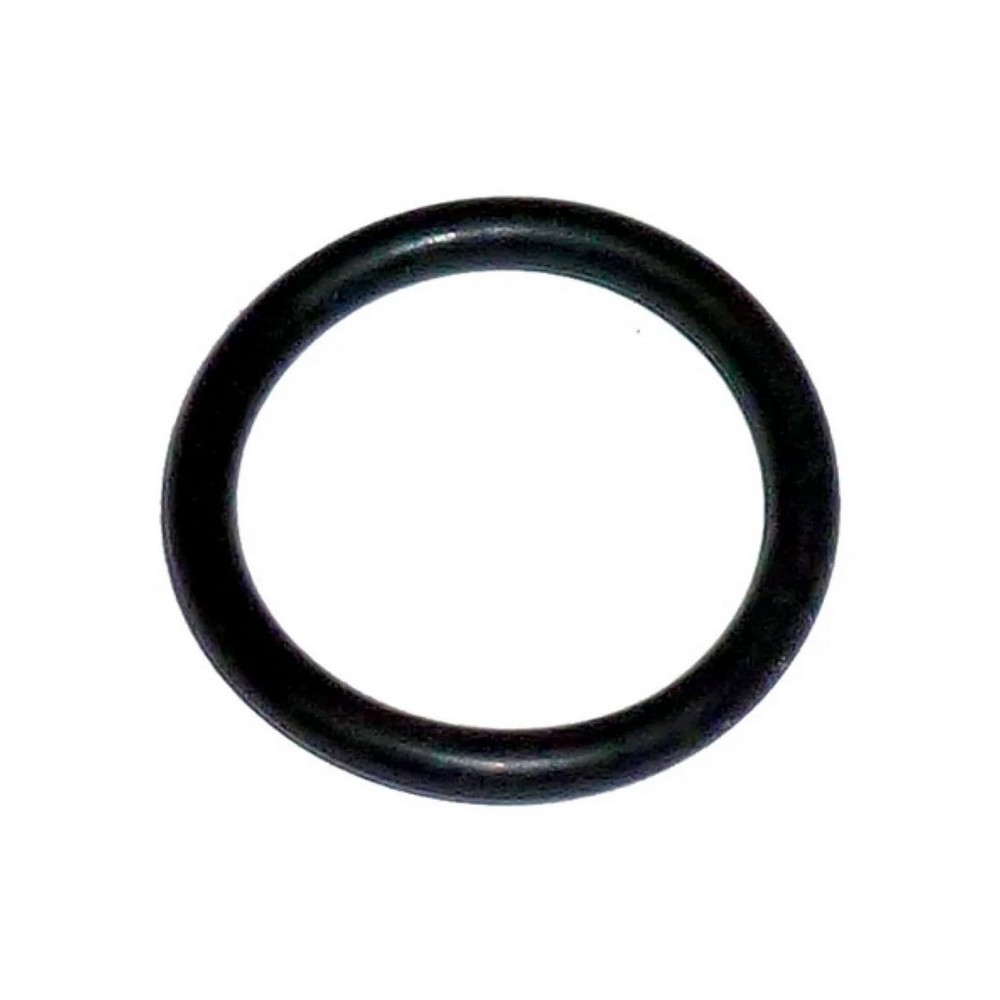 Anel do Cilindro Acumulador de Frieo Rochepecas 348993