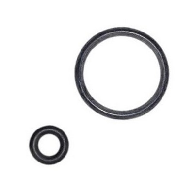 Anel Vedador da Eletro Válvula Canister Fiat 7082509