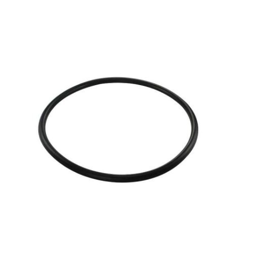 Anel Vedador da Flange da Bomba de Combustível DS 1457