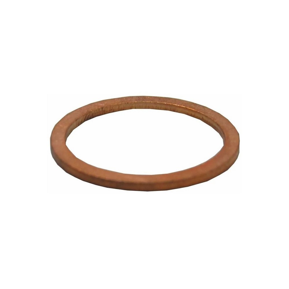 Anel Vedador do Bujão do Cárter do Motor Iveco 16508460