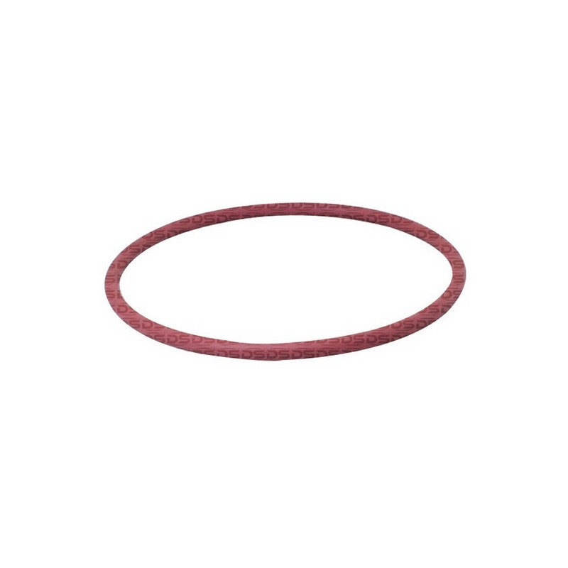 Anel Vedador Flange Bomba Combustível DS 1491
