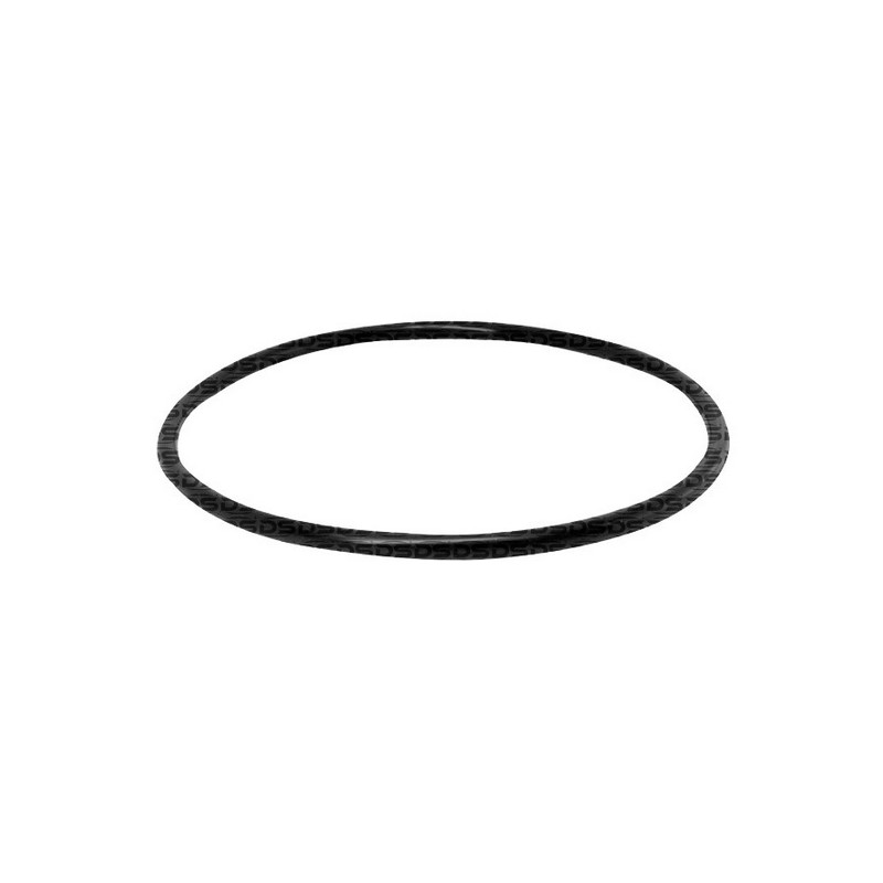 Anel Vedador Flange Bomba Combustível DS 1490