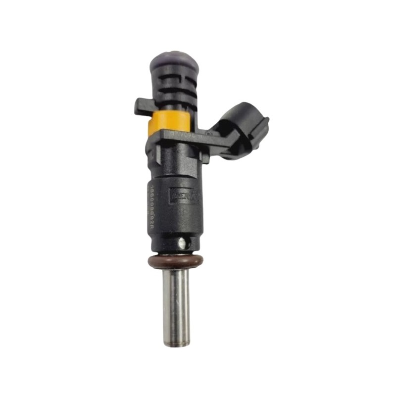 Bico Injetor de Combustível Renault 166008992R