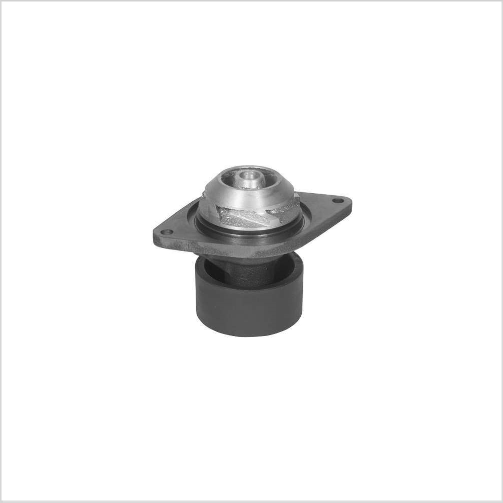 Bomba D'água SKF VKPC4697