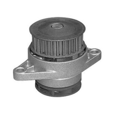 Bomba D'água SKF VKPC81210A