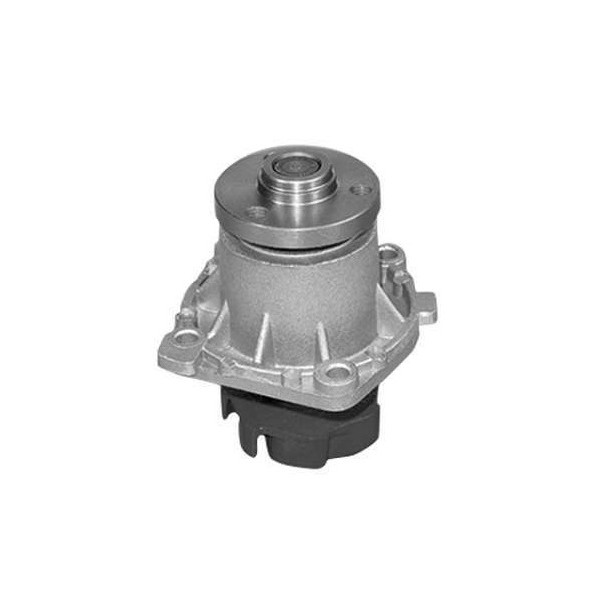 Bomba D'água SKF VKPC82208A
