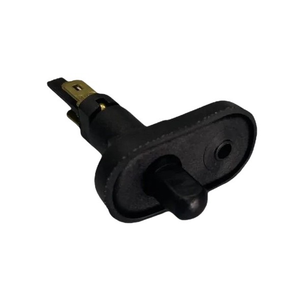 Botão Interruptor da Luz de Cortesia Fiat 52149191