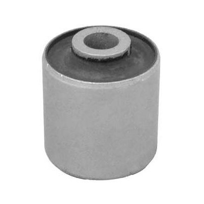 Bucha da Bandeja dianteira inferior 2M Plastic 1203603