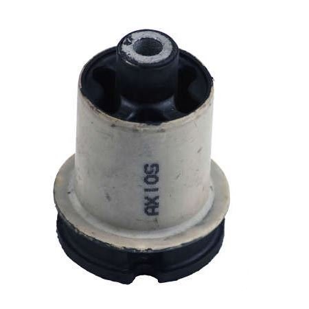 Bucha do Eixo traseiro Axios BR15151101876