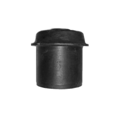 Bucha do Eixo traseiro Recrin/CGR 74040