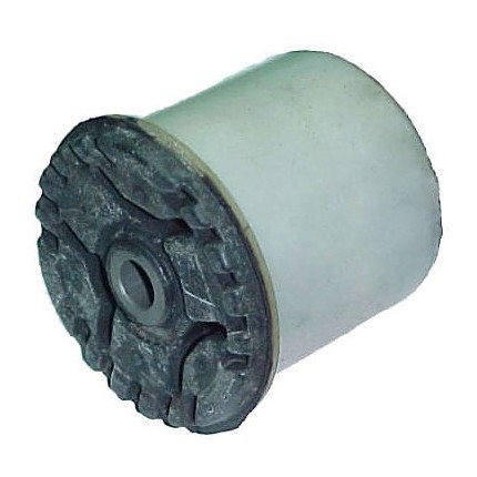 Bucha do Eixo traseiro Axios BR15251105507