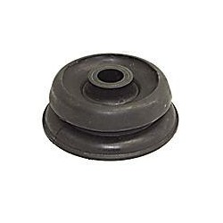 Bucha do Tanque de Expansão do Radiador Rochepecas 318362