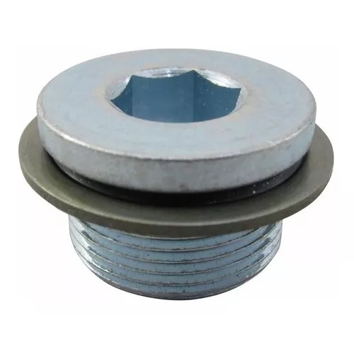 Bujão Frontal do Cabeçote Iveco 504113994