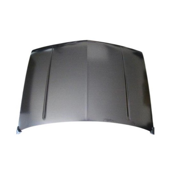 Capô Automotive Imports ZN818003