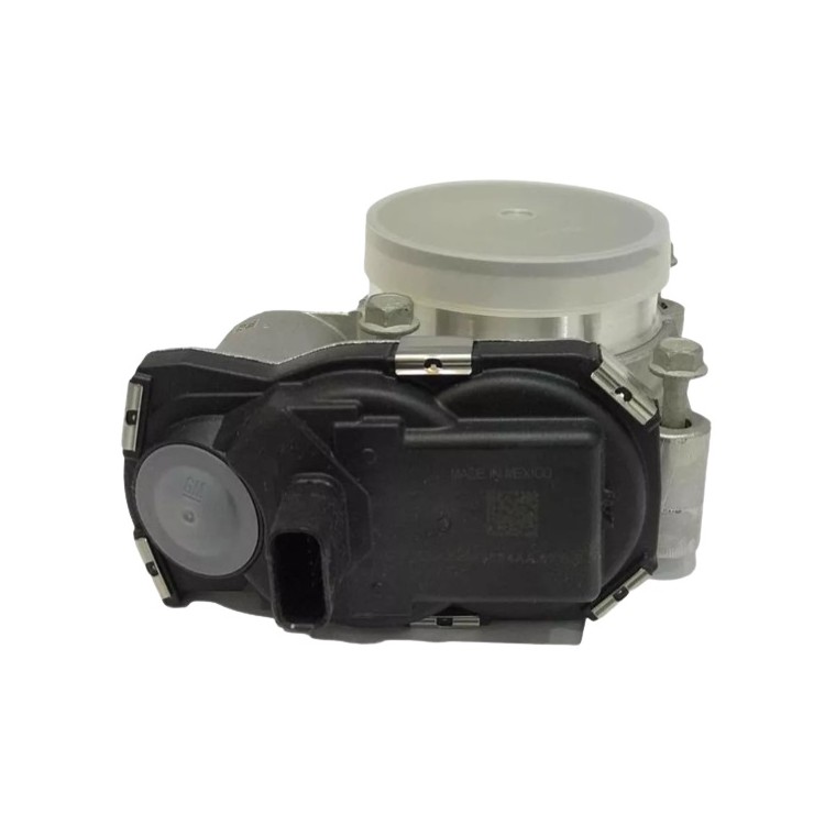 Corpo de Borboleta LP LP1038341033