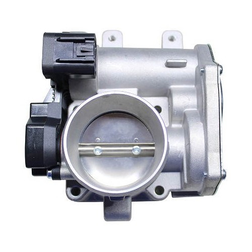 Corpo de Borboleta Delphi TB10043
