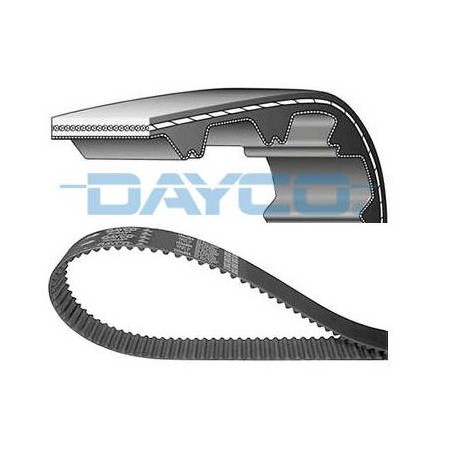 Correia Dentada 113 Dentes Dayco 113SP254H