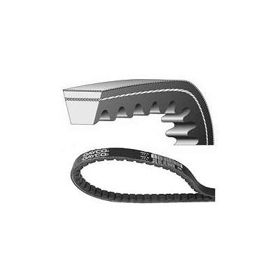 Correia do Alternador Dayco 11A1025C