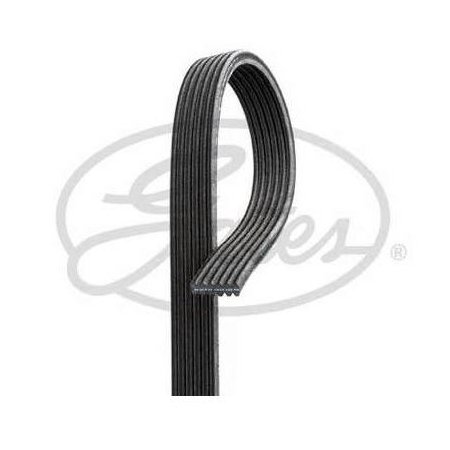 Correia do Alternador Gates 6DPK1225