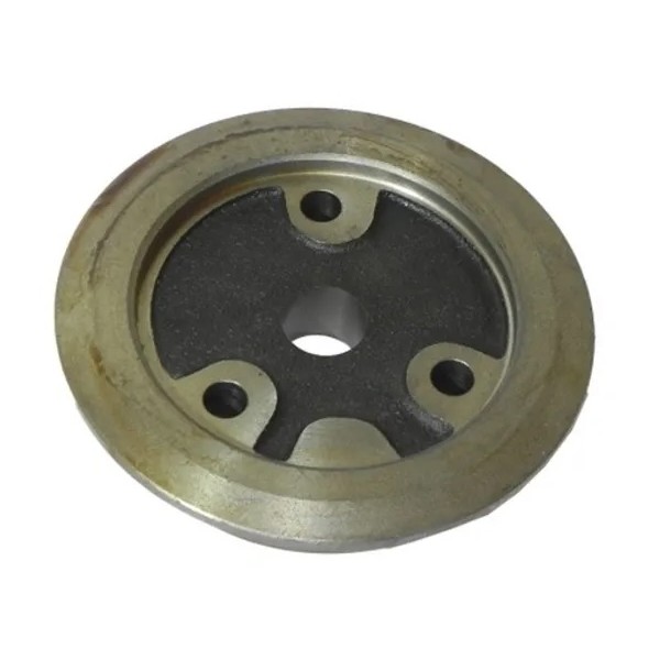 Cubo da Engrenagem da Bomba de Óleo Rochepecas 422313