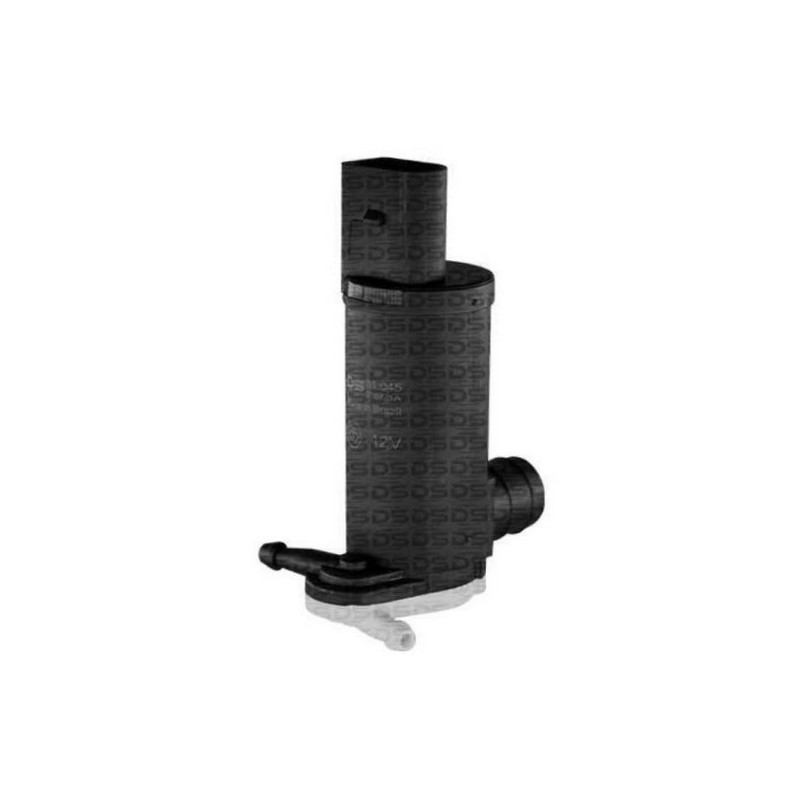 Eletrobomba do Limpador Ecosport DS 31045