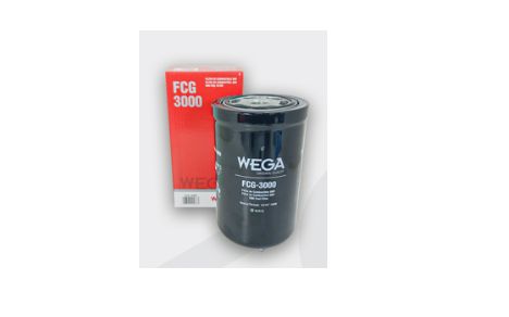 Filtro Combustivel Wega Motors FCG3000