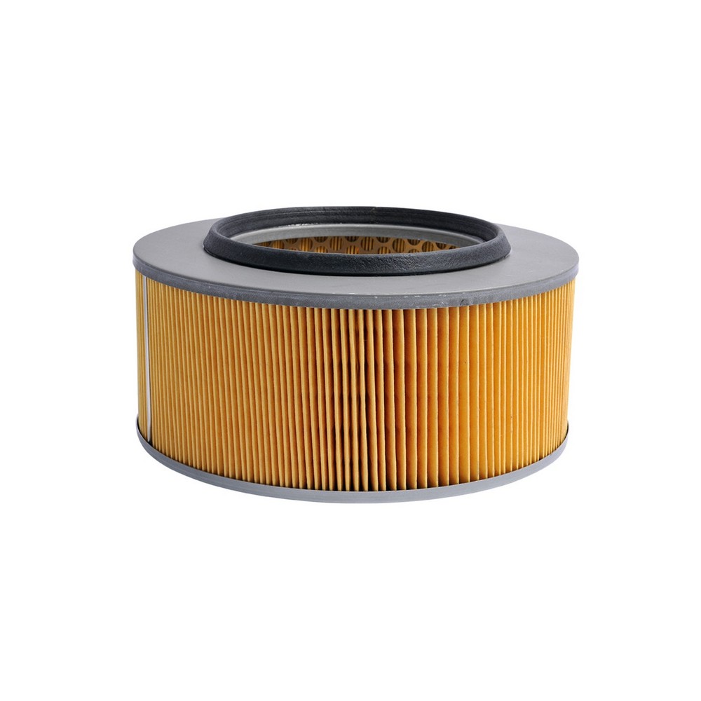 Filtro de Ar Mann Hummel C22181