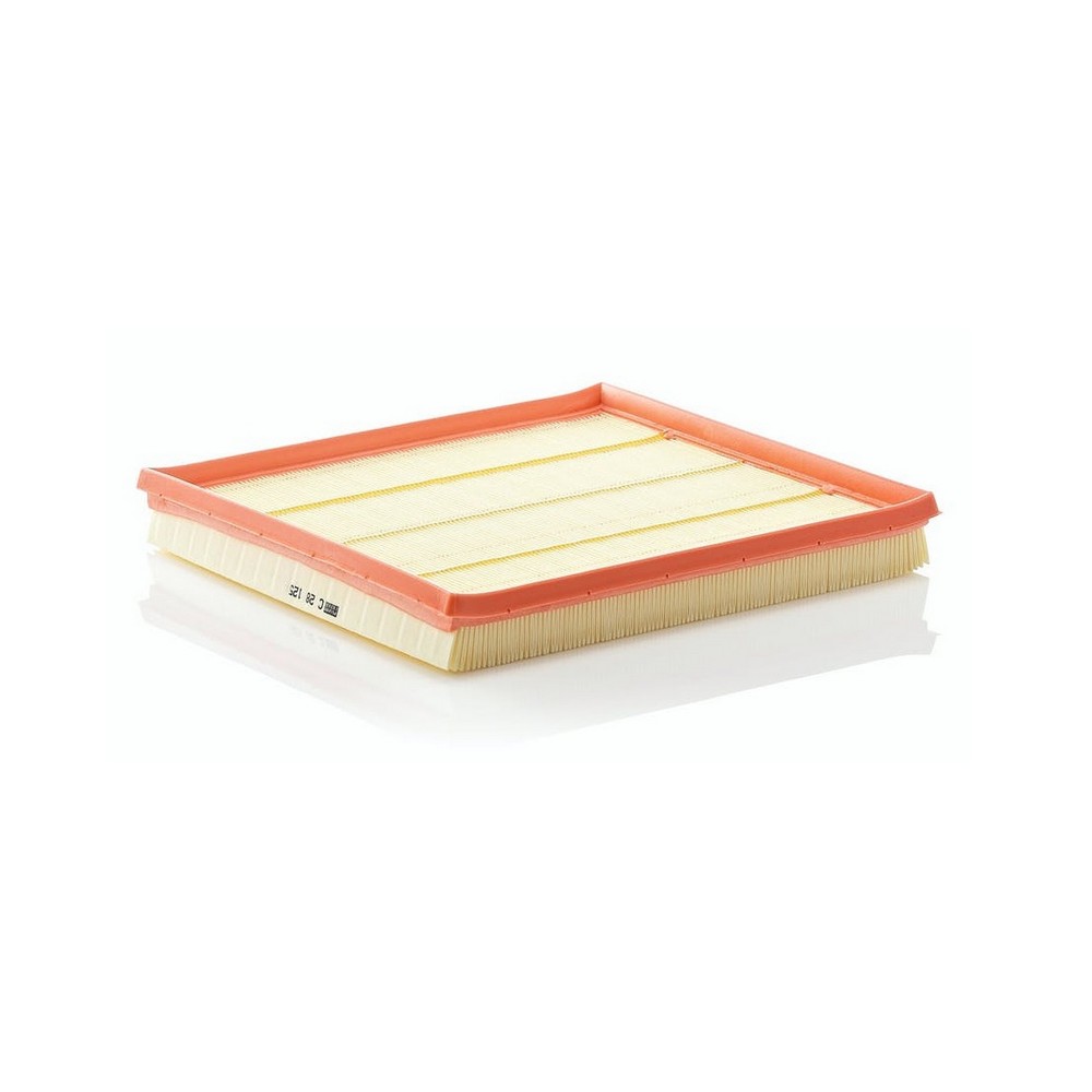Filtro de Ar Mann Hummel C28125