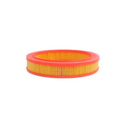 Filtro de Ar Mann Hummel C2648