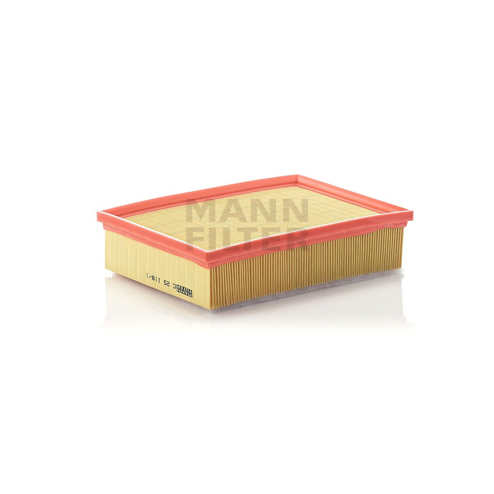 Filtro de Ar Mann Hummel C251181