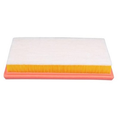 Filtro de Ar Wega Motors FAP2835