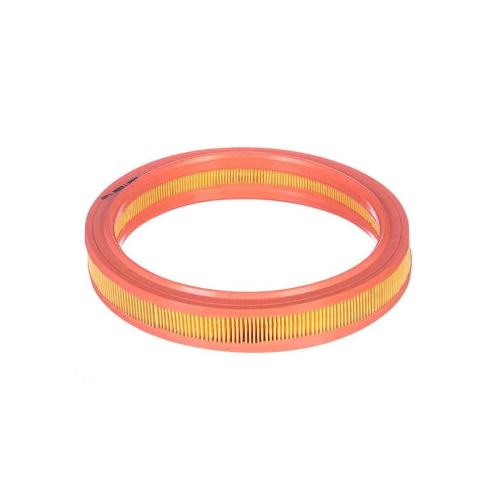 Filtro de Ar Tecfil AR8819