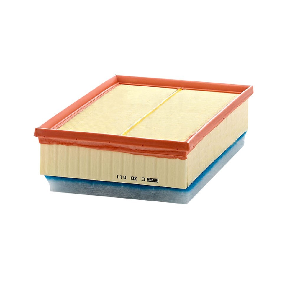 Filtro de Ar Mann Hummel C30011