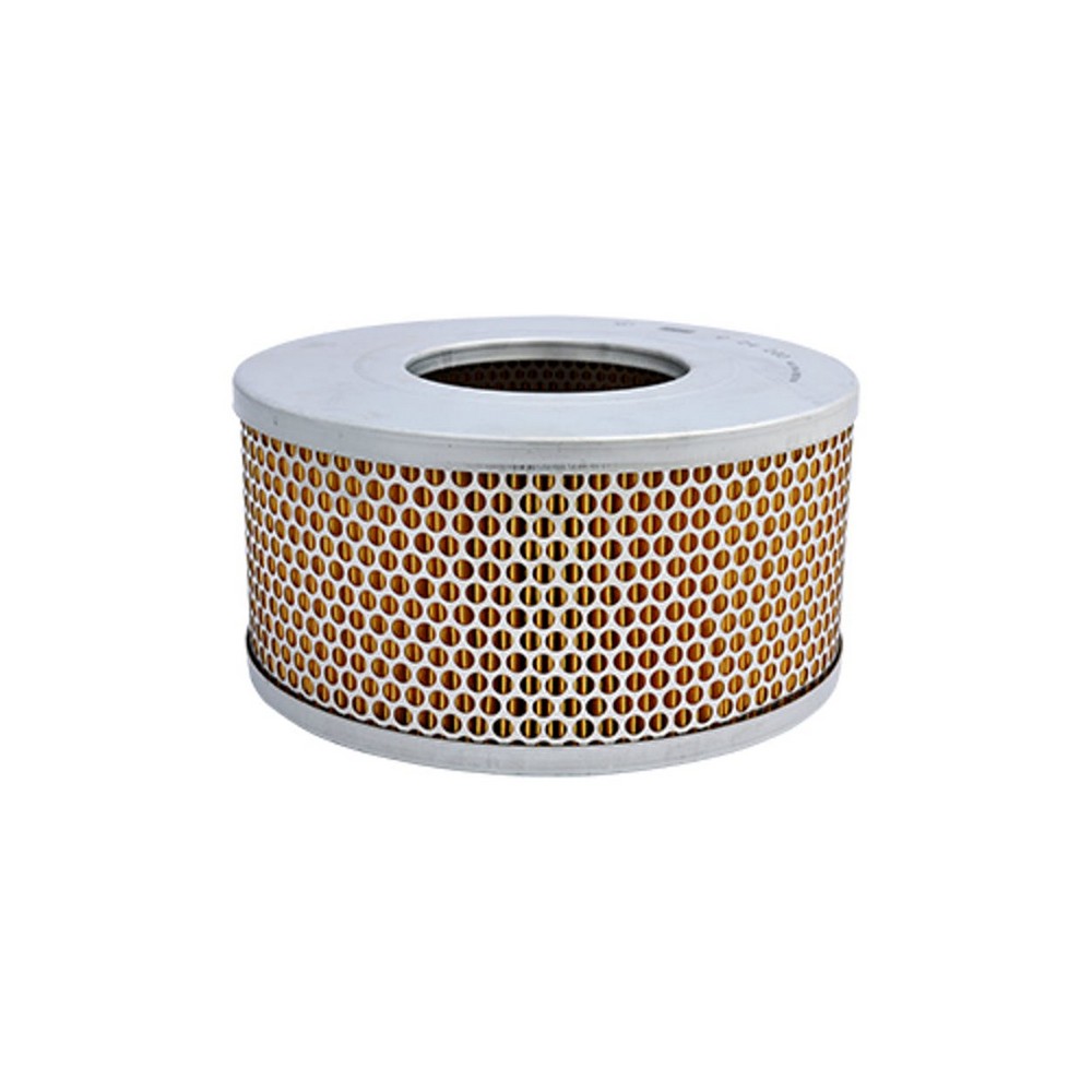 Filtro de Ar Mann Hummel C24203