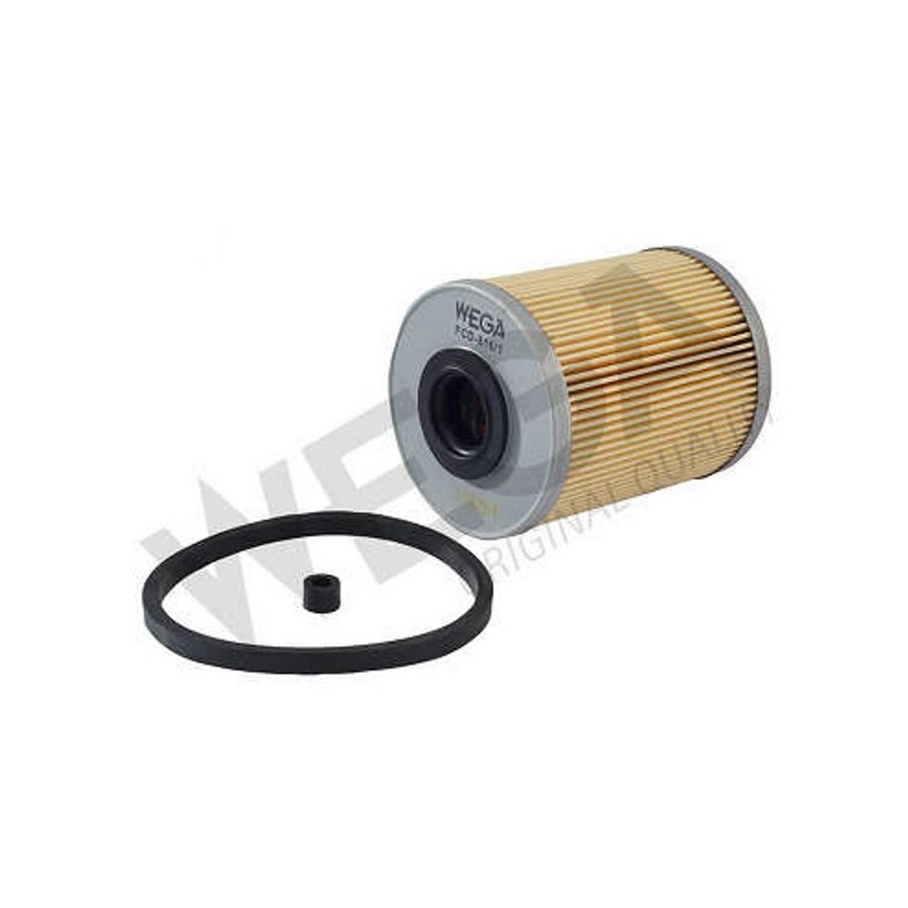 Filtro de Combustível Wega Motors FCD08161