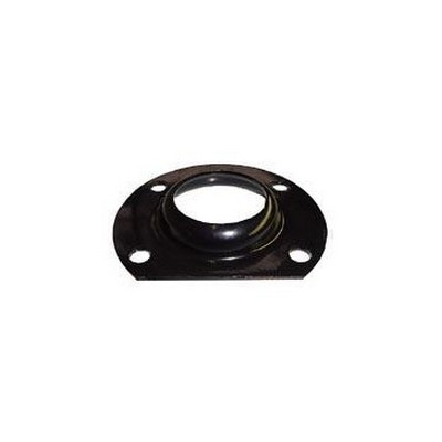Flange de Fixação do Rolamento da Semi Árvore traseiro Rochepecas BEOC4020A