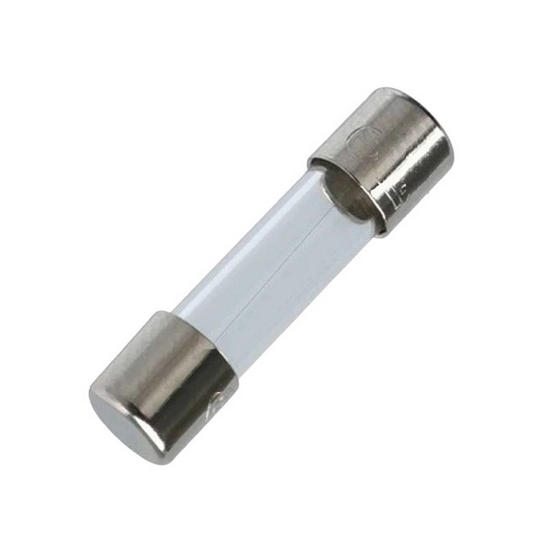Fusível Unitário Vidro 10Ah Grande 6x30mm Hikari H11010