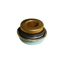 Gaxeta da Bomba D'água Rochepecas 1338040