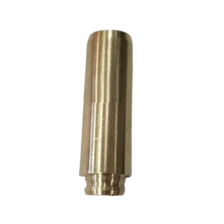 Guia da Válvula de Admissão Mahle/Metal Leve GA0700484
